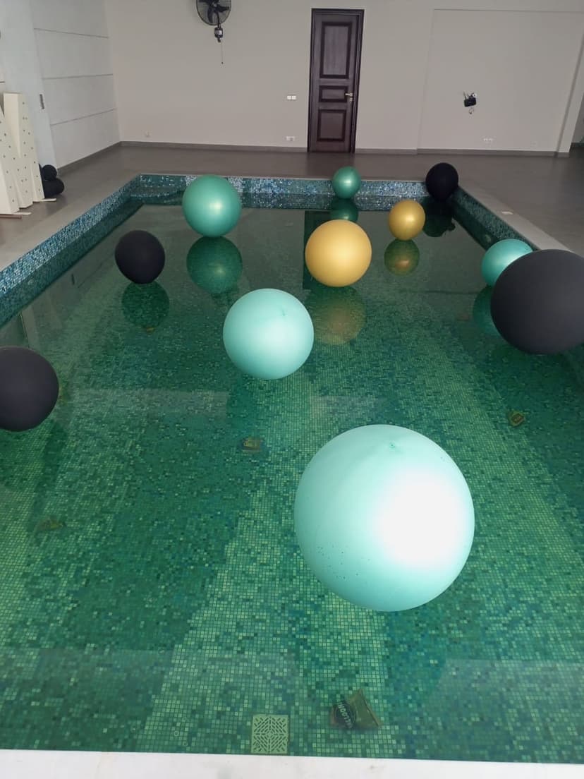 Gallery Image 8